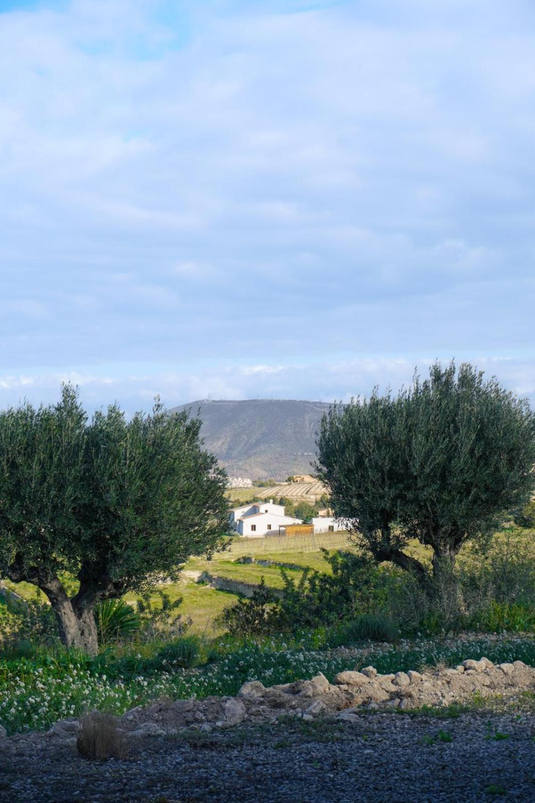 Hotel Finca Olivar Benissa Exterior foto